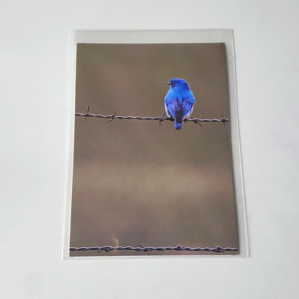 "Blue"‎ 5x7 Paper Photograph by Karen Geerken Photography